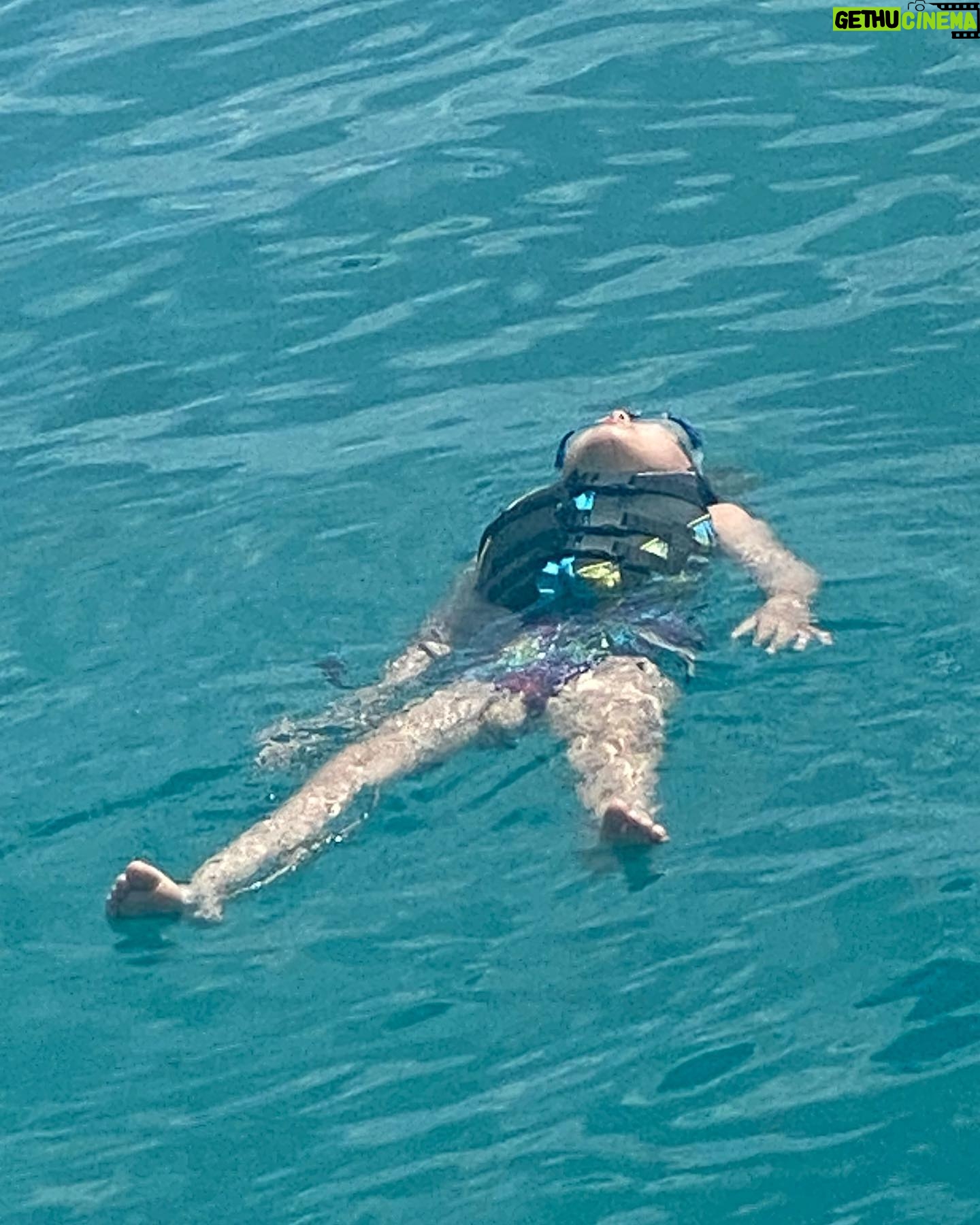 Lisa LoCicero - 3K Likes - Barbados turtle swim! š§š§ introducing V to the beauty under the sea..! Unlike me, she is a natural in the oceanā¦#barbados #ocean #holiday