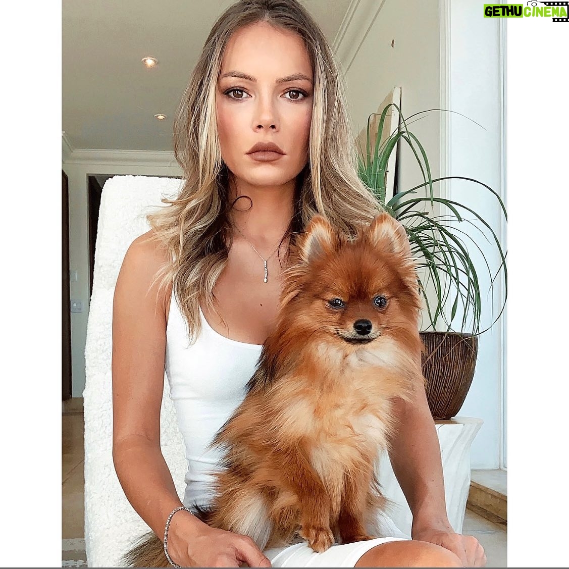 Lisa Massé - 612 Likes - SWIPE UP
Je devais me mettre toute belle pour un projet secret, so pourquoi pas me faire un petit shooting photo avec mes chiens. Ça me donne toujours des bons souvenirs avec ces deux énergumènes.😅😂
Turbo déjà trop fatigué et Nalaa qui est fâchée d’avoir les poiles en petard pendant un shooting, mademoiselle la princesse. 🙈
D’habitude elle adore poser devant la caméra, pas aujourd’hui 💁🏼♀️
.
#pomeranian #pomeranianmom #love #mybaby #funny #dog #blondehair #fox #bear #teamdog #fun #cute #sleepy #sleepypuppy