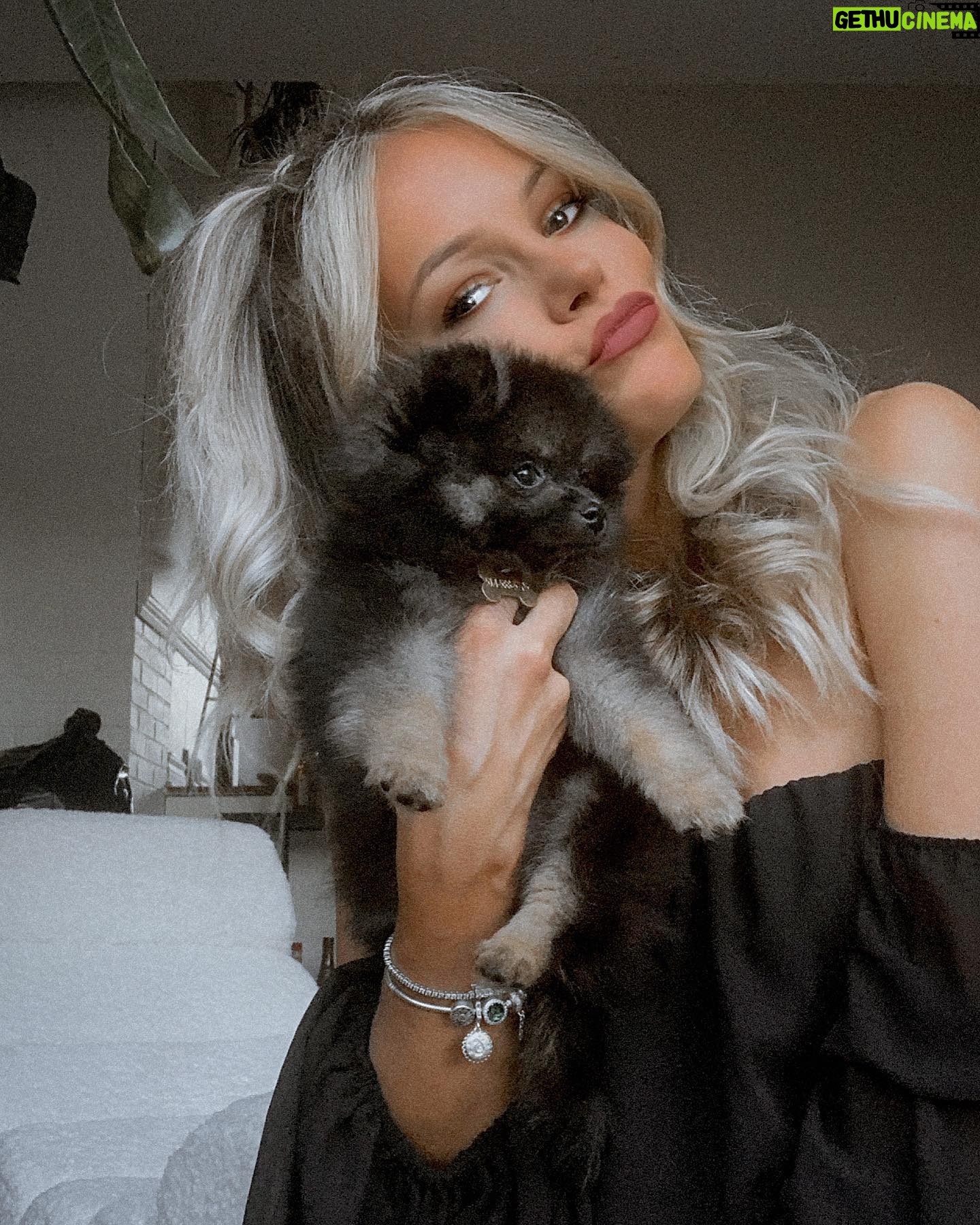 Lisa Massé - 466 Likes - M Y F A M I L I A R
🔮
The witch has her little fur ball. My little boy 🖤
#pomeranian #puppy #love #happy #cute #witch #blonde #funny #photoshoot #play #black