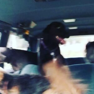 Lisa Moretti Instagram - Can you tell I love my job!
