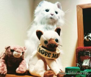 Lisa Moretti Instagram - I'm a grown woman who still loves cute stuffed animals! And I won't apologize about it! #catlover @morettiivory