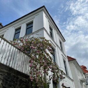 Lisa Teige Instagram - springtime in Bergen🌸