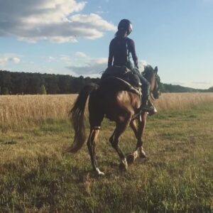 Lisa Tomaschewsky Instagram - 