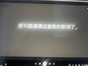 Liu Renyu Instagram - 适应新生活的一段时间，劳累让记忆力衰退，出门忘带钥匙，回家忘带包，靠在木质硬板凳上思考问题下一秒却开始想究竟何时买个小沙发。

 ｜思想需要浸泡…再次回顾叔本华钟摆理论，人生实如钟摆，在痛苦与无聊之间来回摇摆，难以超脱。可行的是精神的富足超越物质的富足，认知的提升会很大程度解决物质匮乏的痛苦感。｜
 
  提出悲观解决悲观，与信仰一唱一和，只要不看清世界之悲剧这一真相，信仰便永远散发出耀眼的光芒。