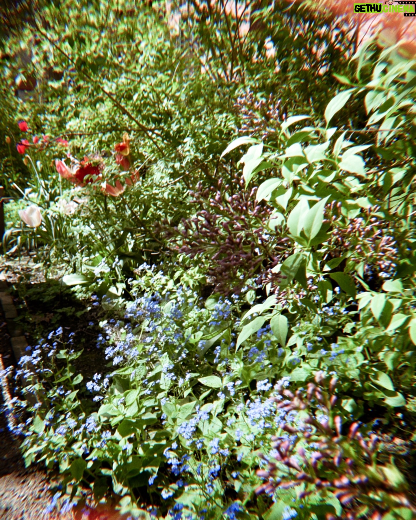 Liv Hansen - 3 Likes - June 💐 let’s make it a good one! 💚
#summeredition #sweatpants #35mmfilm #cinephilecommunity