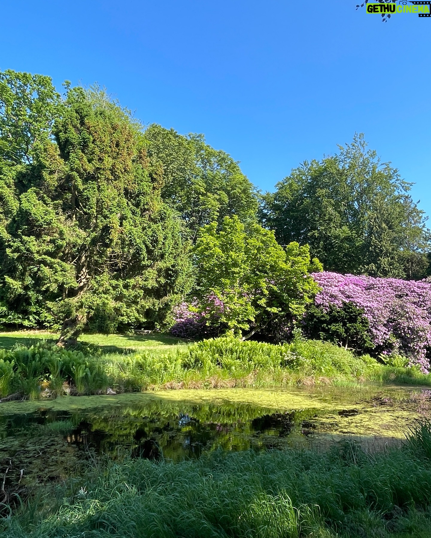 Liv Hansen - 3 Likes - Hike to åsebakken with friends on a very hot day 🥤👣
#åsebakken #hikingadventure #greenspaces #denmark