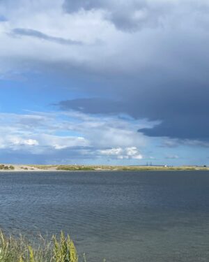 Liv Hansen Instagram - Afternoon walk at Amager Strand (Beach) 🩷🦢 

#amagerstrand #copenhagenlife #danishactor #skuespiller #københavnerliv