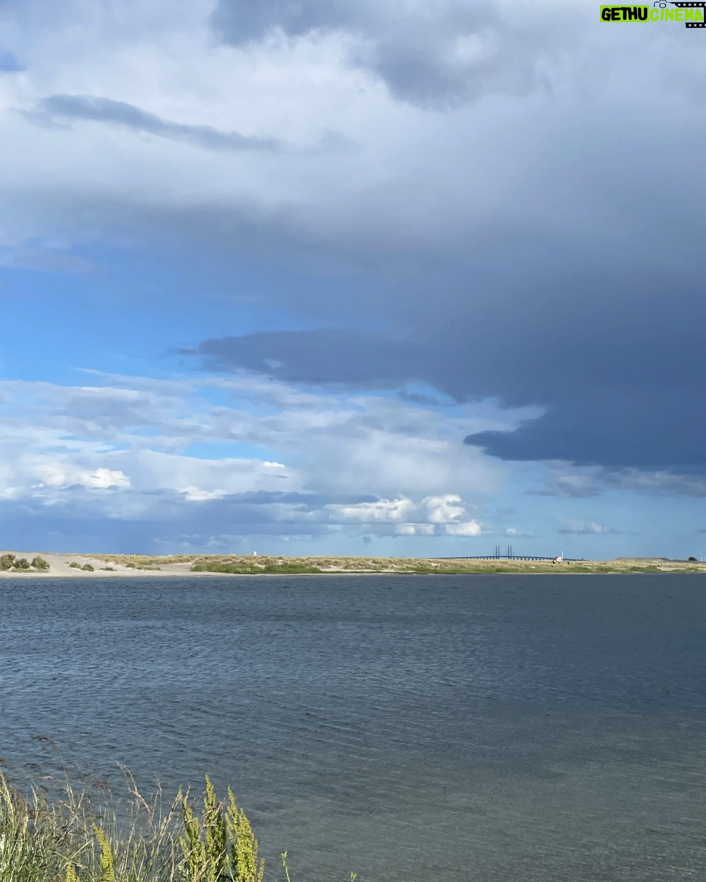 Liv Hansen - 3 Likes - Afternoon walk at Amager Strand (Beach) 🩷🦢
#amagerstrand #copenhagenlife #danishactor #skuespiller #københavnerliv
