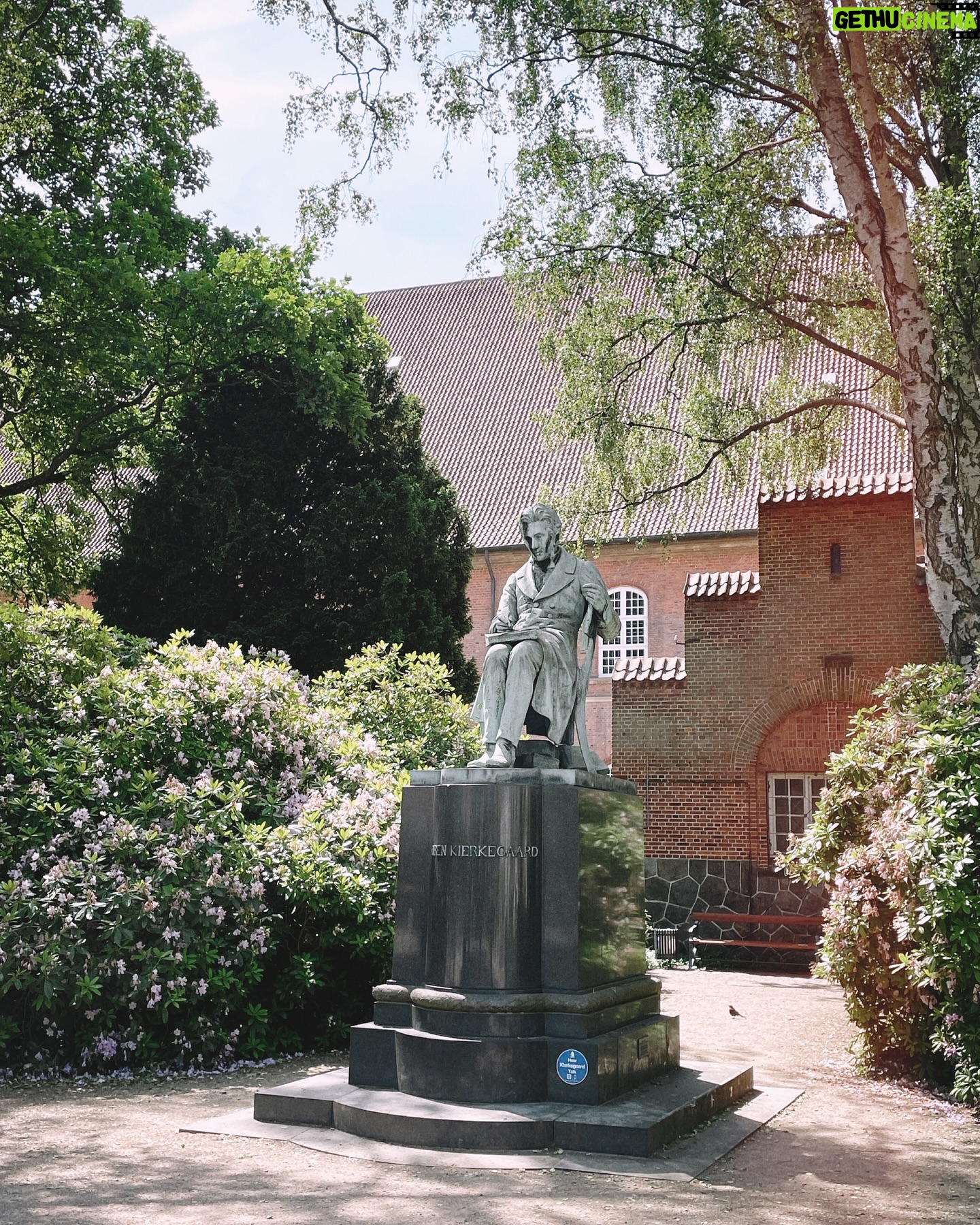 Liv Hansen - 3 Likes - June 💐 let’s make it a good one! 💚
#summeredition #sweatpants #35mmfilm #cinephilecommunity