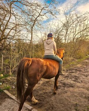 Liv Hansen Instagram - 🎠 on the trails with Saga #equestrian