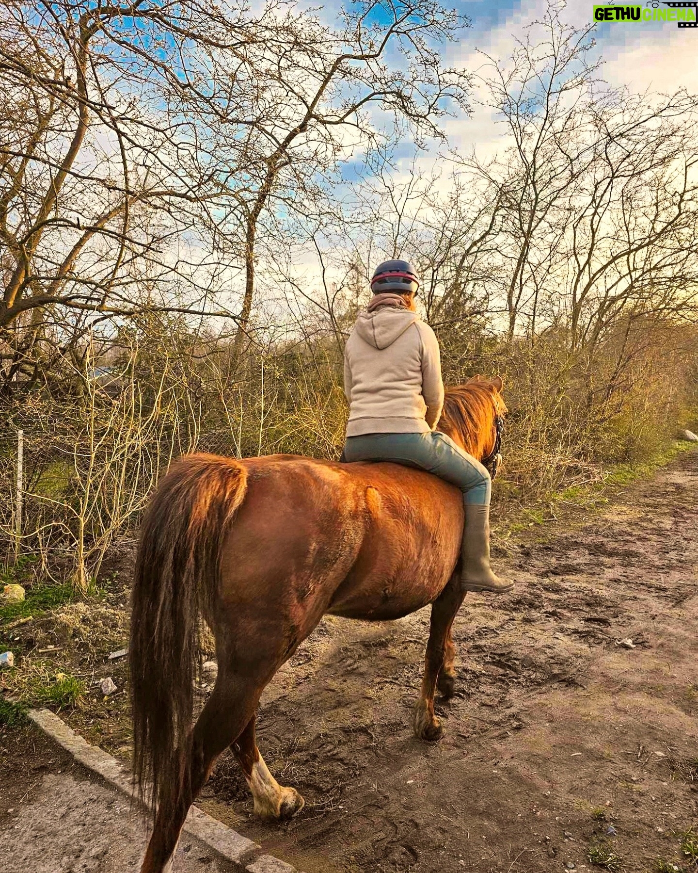 Liv Hansen - 3 Likes - 🎠 on the trails with Saga #equestrian