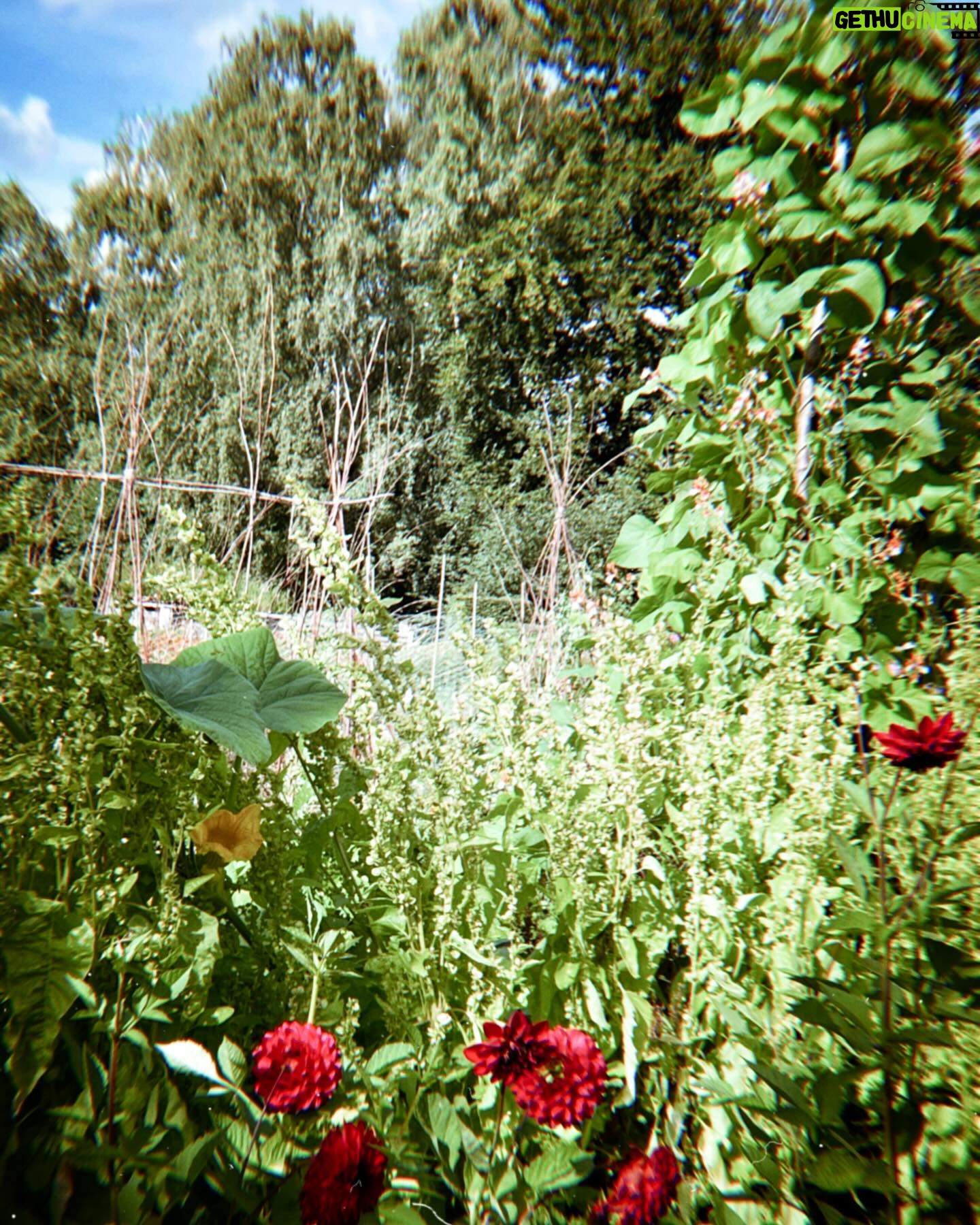 Liv Hansen - 3 Likes - Copenhagen #35mm 📽️ happy Friday friends 🙂
.
.
.
.
#københavnerliv #skuespiller #danskskuespiller #copenhagen🇩🇰 #summer #35mmfilmphoto #voiceactorslife #femalefilmmakerfriday #femalefilmmakers #detkongeligeteater