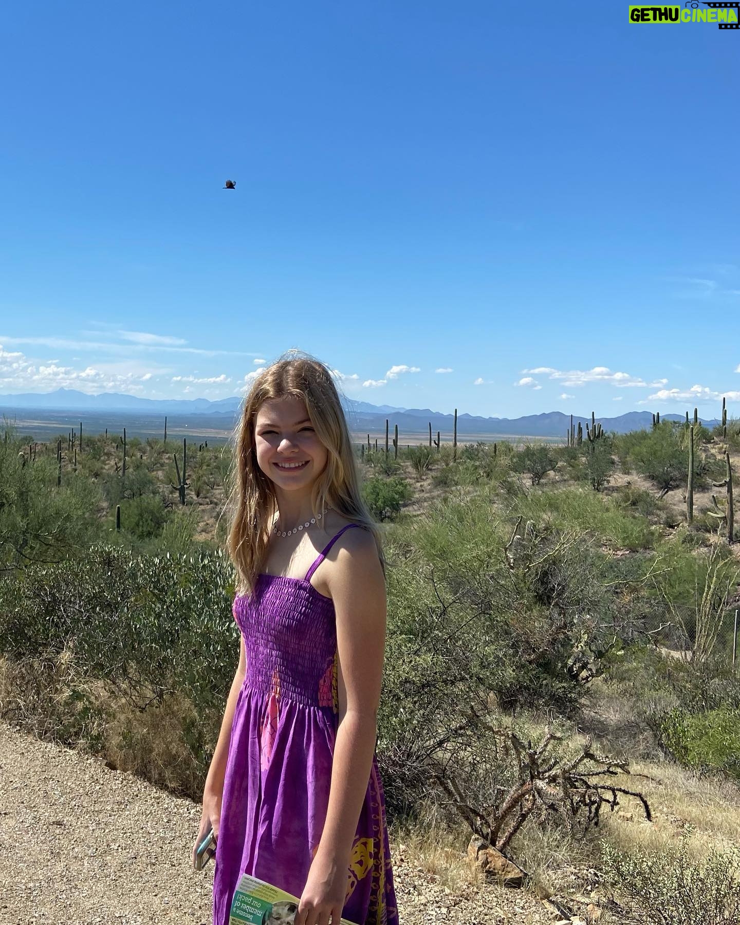 Livi Birch - 2.4K Likes - Amazing day discovering this cool museum and the cute animals and a rattle snake 😱