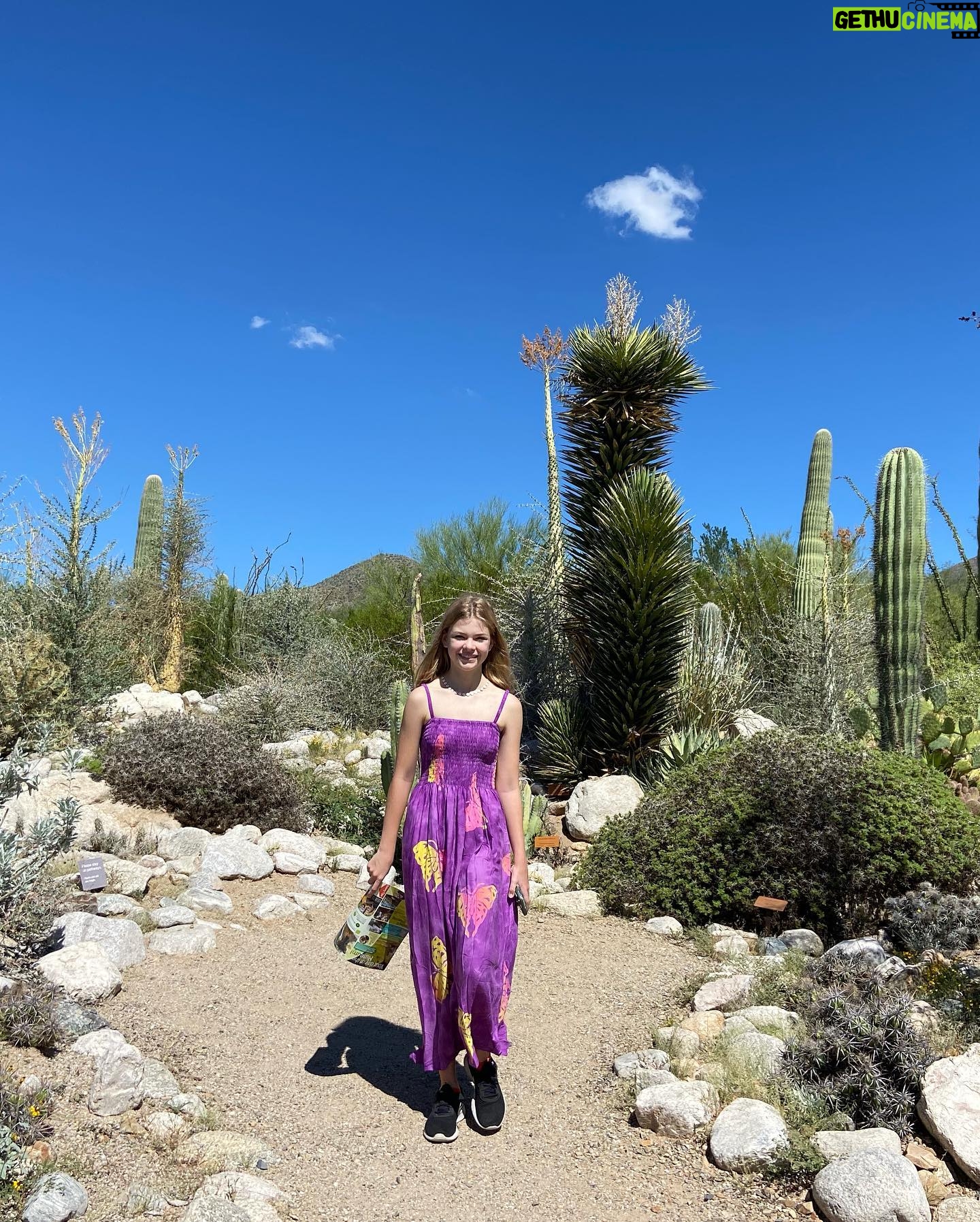 Livi Birch - 2.4K Likes - Amazing day discovering this cool museum and the cute animals and a rattle snake 😱