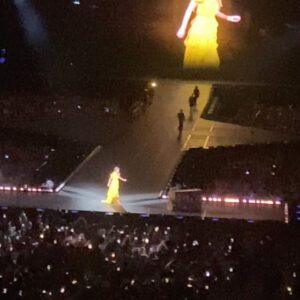 Livi Birch Instagram - And don’t forget about the night out in L.A!!!!! I had the time of my life with you last night @taylorswift @taylornation @sofistadium !! Best birthday ever!!!! I had the best day with you ❤️ #dress #exile #taylorswift #erastour #midnights #latstheerastour #ihadthetimeofmylifewithyou #thankfulgratefulblessed