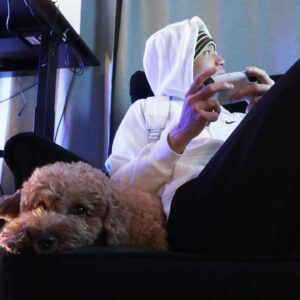 Loopy Instagram - 