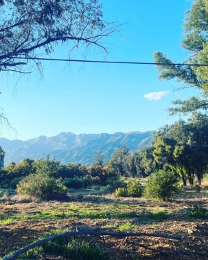 Lori Alan Instagram - Post wedding, Ojai, Malibu Thanksgiving, photo extravaganza🤩
happy #GratefulWeekend to you and yours. Going through wedding pictures, leaning into some solitude and nature, as it always heals and finding myself very reflective this weekend. I don’t eat meat, not always thrilled about what Thanksgiving historically means… But I love being grateful. It is an an opportunity every day for your mental, physical and spiritual well-being.
As a friend said to me today, “count your blessings and they will multiply“

Be kind. To YOU and everyone in your path. We’re not promised another tomorrow. Love each other with grace and fierceness.
I’m so grateful to be a wife to a wonderful man and feel truly safe. 
So grateful for my tribe and that my beautiful parents walked me down the aisle.

The holidays can be a very tender time. Brings up loss and grief and expectations and so much more, especially with the world collectively going through so much. Be easy with yourself. 

Praying for EVERYONE across the world for peace, peace, and more peace 🤍
What are you grateful for?