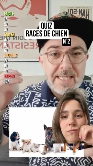 Lou Howard-Levy Instagram - Ça vous fait ça à vous aussi ? 
@quiztopher_colomb 🫶