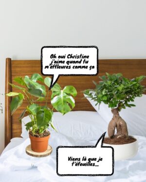 Lou Howard-Levy Instagram - @femtasy_fr , c'est mes chouchoux, c'est LA plateforme d'audios érotiques et sssensssuuelllls

Avec LOU30 tu as -30€ sur ton abonnement annuel ! En plus, tu as 14j gratuits, et si tu ne veux plus t’abonner, Femtasy t’envoie de toute façon un e-mail de rappel 2j avant la fin de l’essai ❤️

Alors, ça sera quoi les prochaines aventures de Globule ? Si ton idée est trop rigolote, on la fait, allez !

#sponso #femtasy