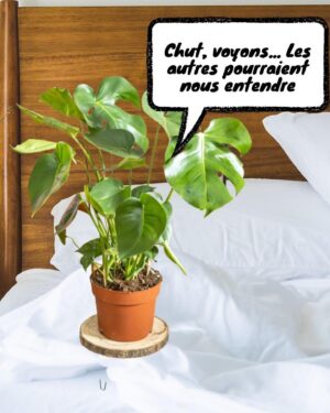 Lou Howard-Levy Instagram - @femtasy_fr , c'est mes chouchoux, c'est LA plateforme d'audios érotiques et sssensssuuelllls

Avec LOU30 tu as -30€ sur ton abonnement annuel ! En plus, tu as 14j gratuits, et si tu ne veux plus t’abonner, Femtasy t’envoie de toute façon un e-mail de rappel 2j avant la fin de l’essai ❤️

Alors, ça sera quoi les prochaines aventures de Globule ? Si ton idée est trop rigolote, on la fait, allez !

#sponso #femtasy