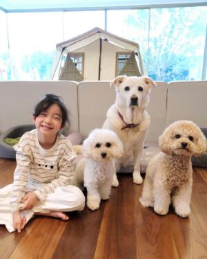 Louis Cheung Instagram - 兒童節快樂❤️✨
願平安和健康，與大家常在🫂

Posted @withregram • @kaytse 💗兒童節平安✨

沒什麼慶祝活動
只在家中和毛小朋友們玩
媽媽看新聞時跟我說
台灣有許多大朋友小朋友
都受到地震影響
兒童節可不可以許願的呢？
我的願望是大小朋友們都平安🙏🏻🫂❤️

@kakaball323