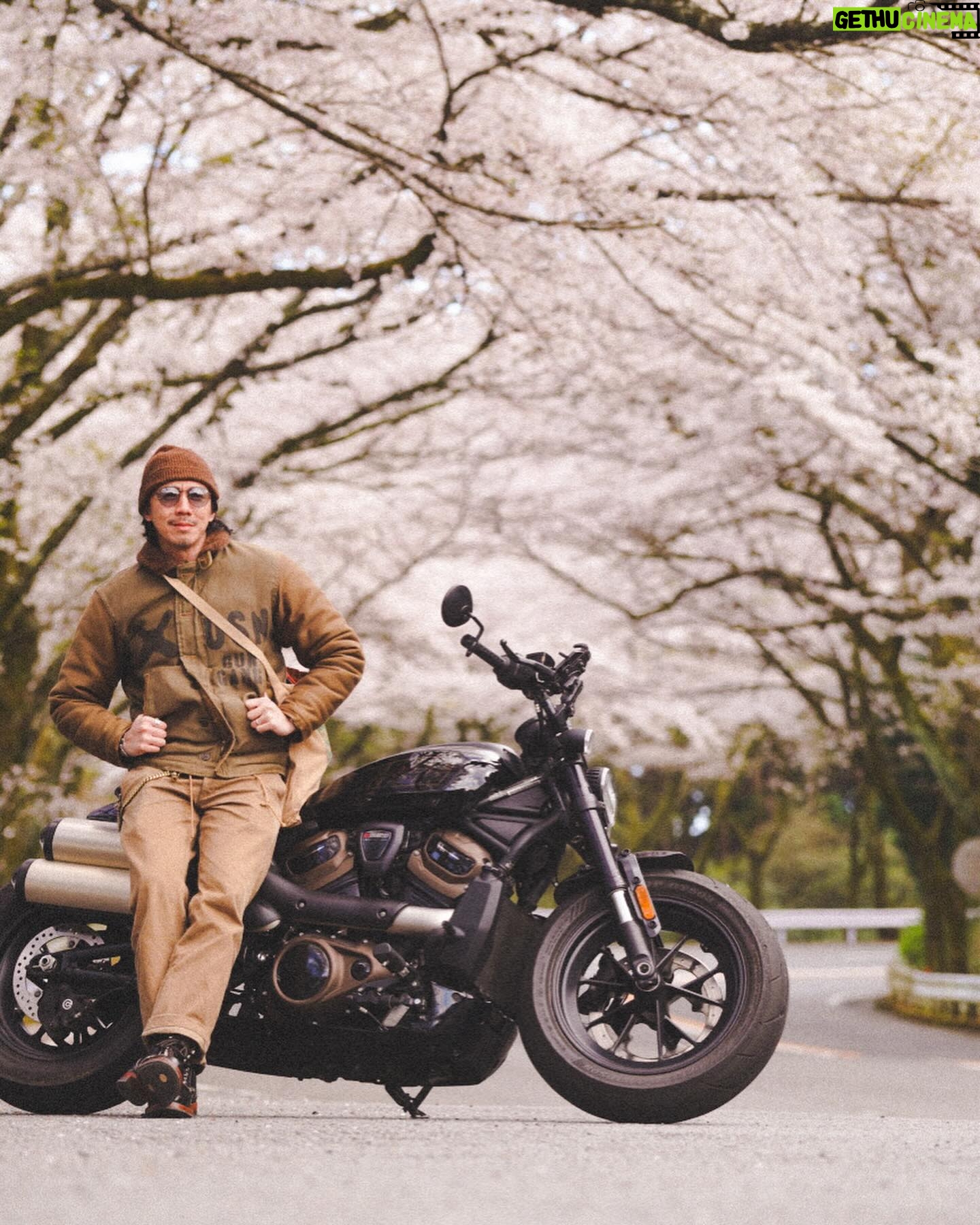 Louis Cheung - 7K Likes - 舊年差唔多依個時間
拍完《盜月者》,留咗係日本
bike Trip 🥹
希望有機會再去玩過🔥💪🏼
#travel #Japan #biker
#harleydavidson #sakura