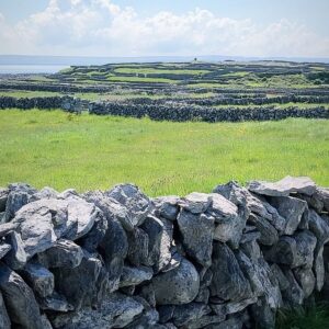 Louisa Erlich Instagram - Of course I have to make a separate post solely highlighting the Aran Islands and The Cliffs of Moher. This was by far my favorite part of the trip. We visited the smallest island, Inis Oírr, with a population of about 350 people. Led by our amazing tour guide Trevor and his beloved horse Abby.

We finished the day going back to Galway via a scenic drive of Ireland’s emerald green country side, and then went back at our hotel to listen to gorgeous live classical music 🎵