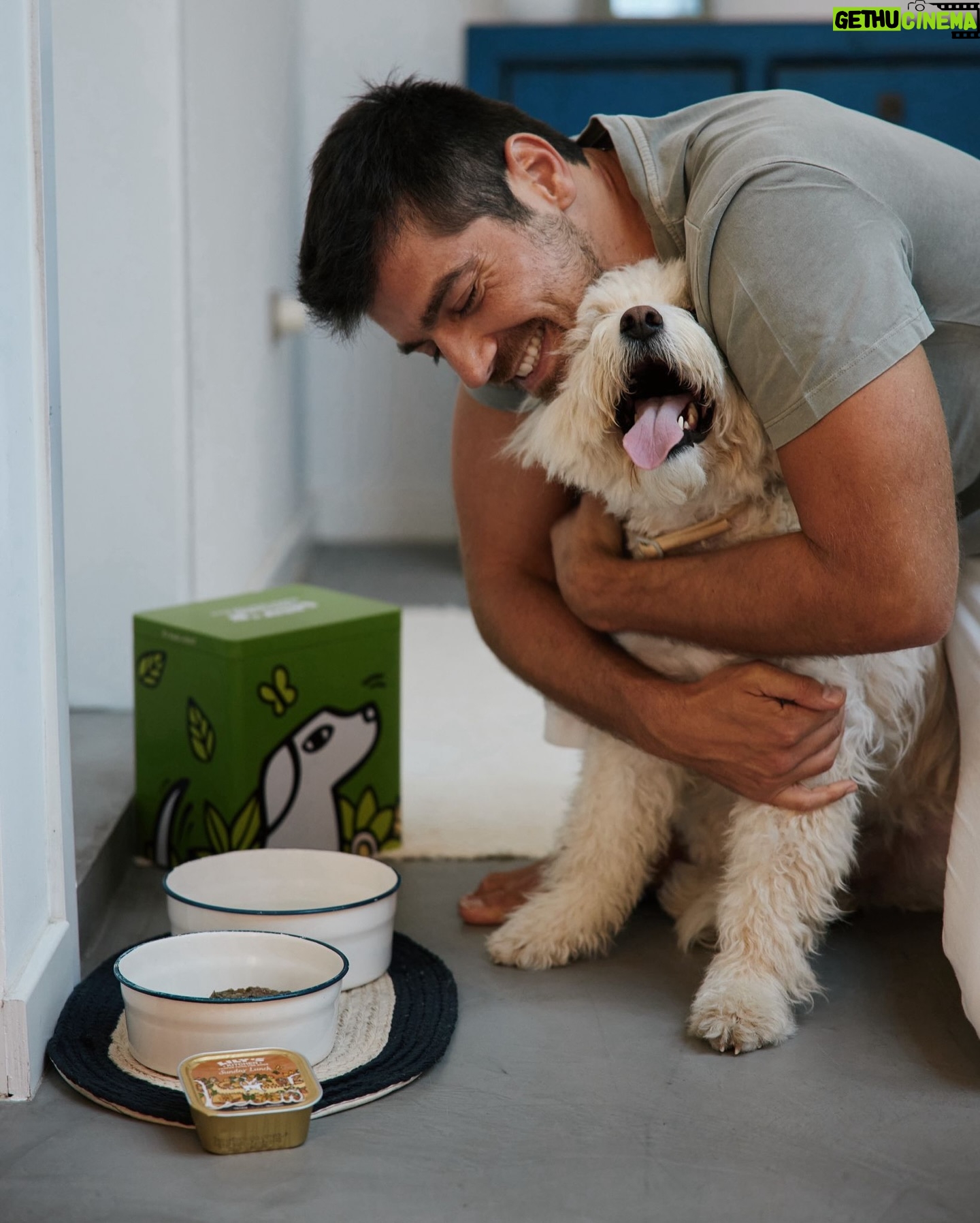 Lourenço Ortigão - 24.9K Likes - A Lua é sem dúvida um membro da nossa família e como tal não dispensamos uma alimentação saudável também para ela! A Lily’s Kitchen tem várias opções com receitas naturais e deliciosas (segundo a Lua) com ingredientes saudáveis e nutritivos, desde que experimentou não quer outra coisa 😉 @lilyskitchenpetfood #pub