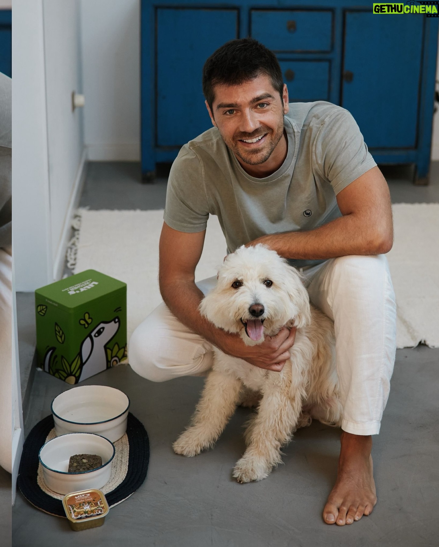 Lourenço Ortigão - 24.9K Likes - A Lua é sem dúvida um membro da nossa família e como tal não dispensamos uma alimentação saudável também para ela! A Lily’s Kitchen tem várias opções com receitas naturais e deliciosas (segundo a Lua) com ingredientes saudáveis e nutritivos, desde que experimentou não quer outra coisa 😉 @lilyskitchenpetfood #pub