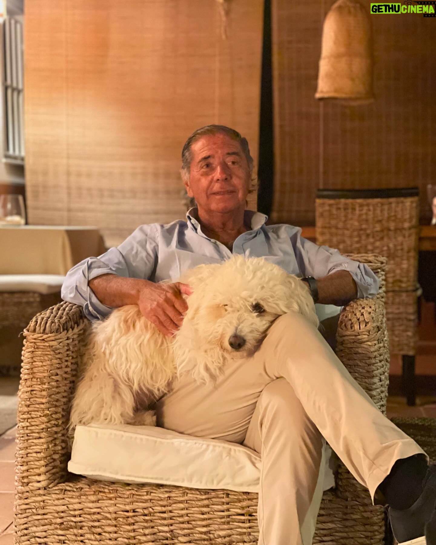 Lourenço Ortigão - 17.4K Likes - Hoje faz anos o melhor Pai deste Mundo
Parabéns PAIZAO ❤️