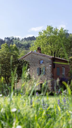 Luca Calvani Instagram - 🏡 Siamo entusiasti di annunciare che Le Gusciane è quasi pronta per la nuova stagione! Carichi di energia e passione, non vediamo l’ora di accogliere i nostri ospiti e regalare loro esperienze uniche e suggestive. Immaginate cene incantevoli sul prato, illuminate solo dal tenue lume delle lanterne e dall’incanto delle lucciole, o aperitivi rilassanti vicino al nostro campo di bocce, dove il divertimento si mescola alla bellezza della natura.

Le Gusciane è pronta ad accogliervi nell’abbraccio dei nostri boschi, dove ogni dettaglio è stato pensato per offrirvi momenti di pura magia. Preparatevi a creare ricordi indimenticabili in un luogo dove il tempo sembra fermarsi e la tranquillità regna sovrana. Ci vediamo presto!

#lovely #tuscan #retreat #countryhome #countryinn #countrydecor #farmhouse #holiday #travel #experience #tuscany #versilia #garden #gardendesign #design #interiordesign #home #homedecor #homedesign #sunday #goodmorning 

Ph @intheblinkofamirror