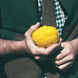 Luca Calvani Instagram - 🍋 Questo piccolo limone non produceva nemmeno un frutto quando siamo arrivati al casale 5 anni fa. Stavamo addirittura contemplando di rimuoverlo per dare più luce alla finestra della cucina. Chissà, forse ci ha sentito ponderare sul suo destino e ha deciso di dimostrarci il suo valore: da allora è inarrestabile, producendo 40/50 Kg limoni all’anno, in tutte le stagioni. È davvero un alberello virtuoso.

Questa esperienza mi ricorda quanto sia importante guardare oltre le apparenze e trovare il valore nascosto in ciò che ci circonda, trasformando ogni situazione, anche quella che sembra più sfavorevole, in un’opportunità per crescere e migliorare.

#goodmorning #ottimismosempre #ottimismo #Trasformazione #lemon #lemontree #garden #countrylife #countryhouse #outfit #farmer #farmhouse #tuscany 

Ph @intheblinkofamirror