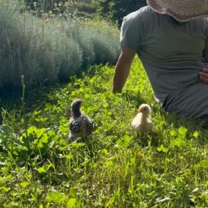 Luca Calvani Instagram - 🐓
Chissà se il Creatore, si compiace della sua opera?✨
Alle volte ti guardo, ti spio un po’, e mi viene da ridere pensando quanto si potrebbe compiacere di te creatura meravigliosa. 🐯
Ecco perché mi diverto a fotografarti dall’alto, mentre ti prendi cura del tuo giardino, o  coccoli i tuoi animali…
Mi piace avere quel punto di vista, quello che avrebbe chi si affacciasse dall’alto ad ammirare tutto il creato, e scorgesse fra tutte te, l’anima bella che sei, col tuo cuore grande, e gli occhi buoni. 
🤣🐝💚