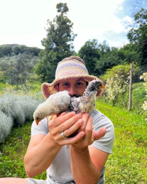 Luca Calvani Instagram - 🐓
Chissà se il Creatore, si compiace della sua opera?✨
Alle volte ti guardo, ti spio un po’, e mi viene da ridere pensando quanto si potrebbe compiacere di te creatura meravigliosa. 🐯
Ecco perché mi diverto a fotografarti dall’alto, mentre ti prendi cura del tuo giardino, o  coccoli i tuoi animali…
Mi piace avere quel punto di vista, quello che avrebbe chi si affacciasse dall’alto ad ammirare tutto il creato, e scorgesse fra tutte te, l’anima bella che sei, col tuo cuore grande, e gli occhi buoni. 
🤣🐝💚