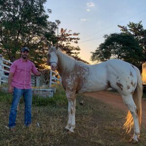 Luca Ferrari Instagram - Falando em melhores amigos, meus animais se incluem . #king #appaloosa #osmoiadeiros