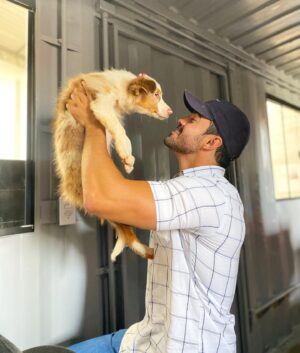 Luca Ferrari Instagram - Do dia que eu tive que dar um até breve pra última filhote da Vegas que ainda estava comigo! Foi com nosso carinho e amor pra ser a mascote da @redneckstore_br que está prestes a inaugurar a loja nova!! Deus abençoe vocês meus amigos ! Pra cima 🙏🏼🔥🚀