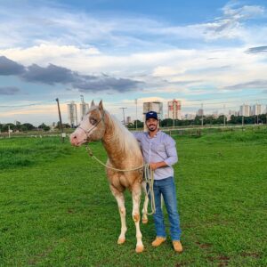 Luca Ferrari Instagram - O loirão mais lindo do mundo passando na sua timeline! 

Obs: agora meu King aos 3 anos começou sua produção ( e eu super feliz por ele e doido pra ver nascer já ) 🙏🏻❤️ 

#king #estaçãodemonta2020 #osmoiadeiros