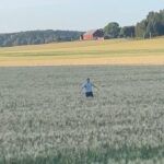 Lucas Lynggaard Tønnesen