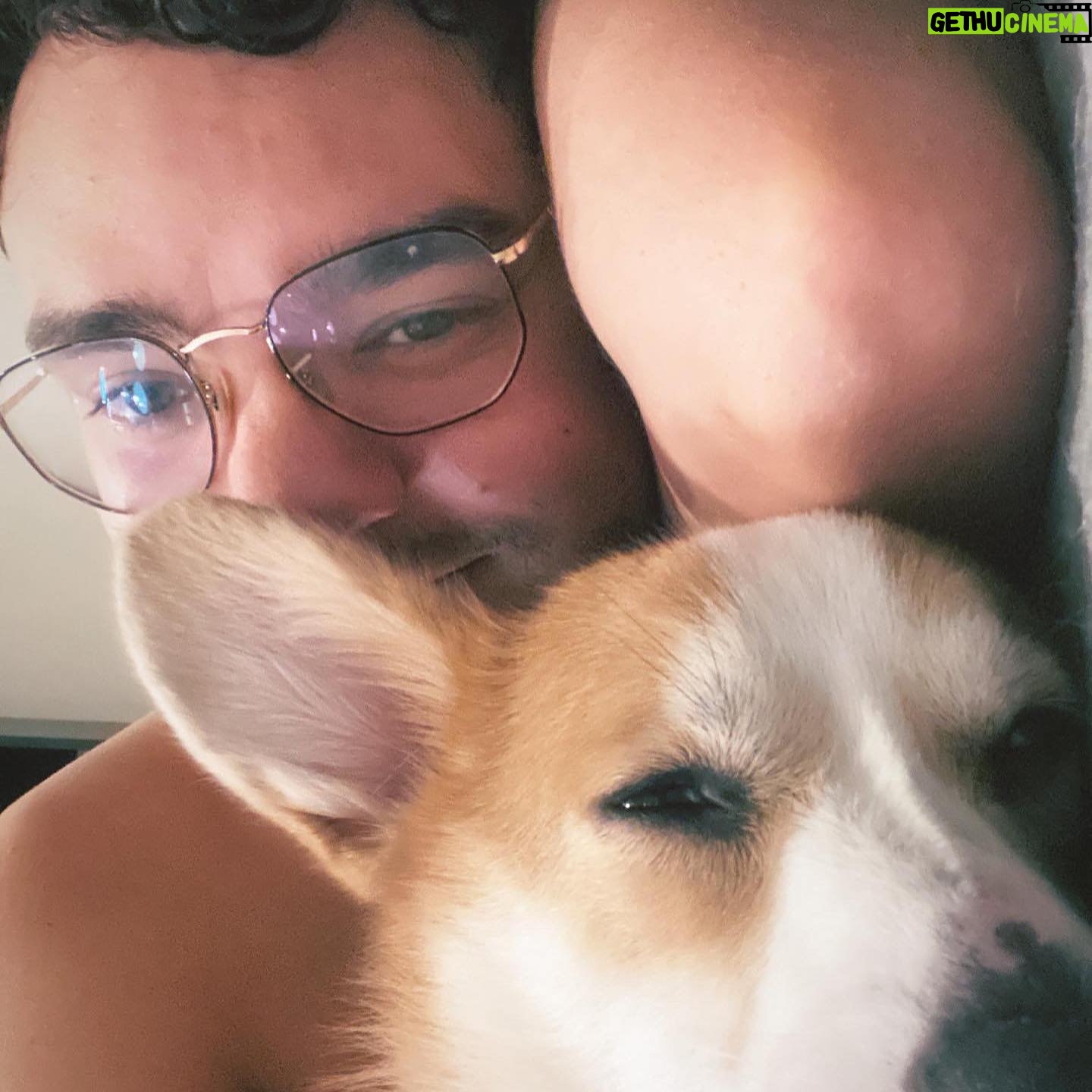 Luccas Papp - 3 Likes - Aniversário de 2 anos do meu bebê! Parabéns, @serginho_dog ❤️ Papai te ama para sempre. Você é o cachorro mais lindo do mundo e não é difícil provar ✨