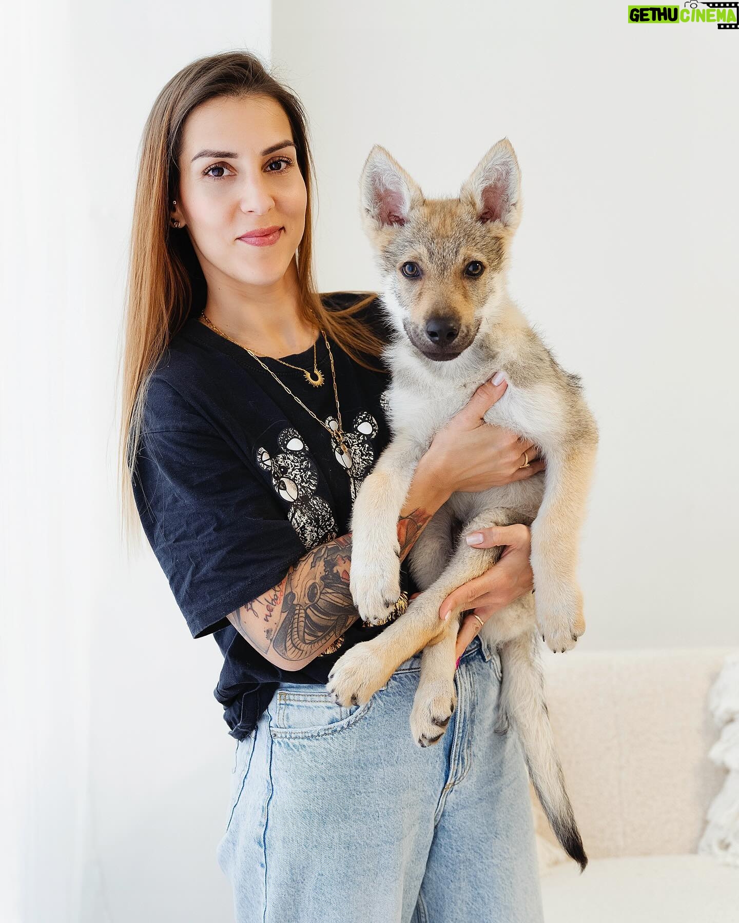 Lucia Krajčovič - 0.9K Likes - My new boy 🖤 my wolf 🖤 #wolf #shewolf