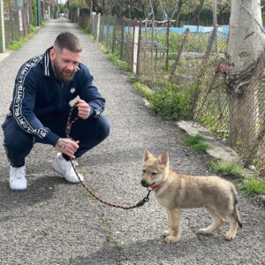 Lucia Krajčovič Instagram - 💚 MARAŠ 💚 

Vitaj chlapček v našej rodine 🍀

Vybral si si nás a ja som neskutočne poctená, príležitosť od takéhoto vznešeného vlka sa neodmieta

Sľubujem ti, že: 

✅ budeš mať veľmi aktívny život 
✅ budeme ťa chrániť a keď vyrastieš,tak nám to vrátiš 
✅ budeš mojkaný, ale aj vychovaný 
✅ budeš mať s nami krásny život, ako aj my s tebou
✅ budeš veľa behať a prechádzať sa po lese a prírode 
✅ budeme ťa milovať