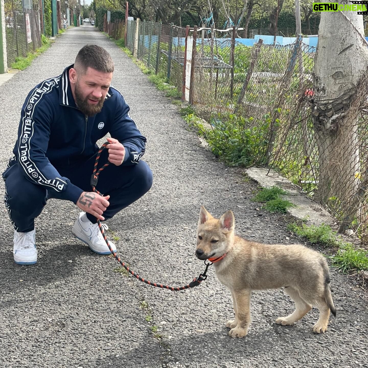 Lucia Krajčovič - 1.6K Likes - 💚 MARAŠ 💚
Vitaj chlapček v našej rodine 🍀
Vybral si si nás a ja som neskutočne poctená, príležitosť od takéhoto vznešeného vlka sa neodmieta
Sľubujem ti, že:
✅ budeš mať veľmi aktívny život
✅ budeme ťa chrániť a keď vyrastieš,tak nám to vrátiš
✅ budeš mojkaný, ale aj vychovaný
✅ budeš mať s nami krásny život, ako aj my s tebou
✅ budeš veľa behať a prechádzať sa po lese a prírode
✅ budeme ťa milovať