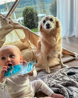 Lucie Čižmárová Instagram - Zuby… Pokaždé když rostou, hned o nich víme a je to boj! Mišánek je hodné a usměvavé mimi, ale zuby ho dokážou pořádně potrápit. 😔Skutečně nám však pomáhá  tohle chladivé kousátko od babylove z @dm_cesko ❤️

Je vhodné od narození a masíruje citlivá místa v pusince, která navíc chladí. Náš malý s ním zároveň trénuje motoriku a nebojím se mu ho dát, protože je vyrobené z bezpečných materiálů.
 Co pomáhá vám na zoubky ?
#dmcesko #dmlovebrand #zdejsemclovekem #babylove❤️