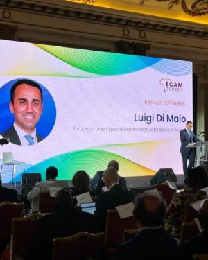 Luigi Di Maio Instagram - Ieri sono stato invitato a prendere parte a Roma all’evento della Fondazione ECAM, a margine del Summit Italia - Africa organizzato dal Governo italiano. 

Tanti capi di Stato e di Governo hanno discusso delle prospettive di sviluppo e crescita tra continente Europeo, Africano e Medio Oriente oltre che alle prospettive di pace e stabilità. 

Ringrazio l’amico @kamelghribi_official per l’invito.