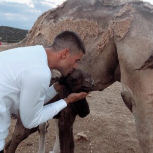 Luis Fernández Instagram - Que pasa familia 🙌🏼🙌🏼
Mis amigos de Safari Madrid sortean CINCO entradas para disfrutar de esta experiencia salvaje. 

Estamos de celebración debido al nacimiento de un nuevo dromedario. 

Para participar lo único que tenéis que hacer es:
Seguir a @safarimadridoficial 
Mencionar a vuestros amigos con los que os gustaría venir. 
Comentar el nombre que más os guste para este macho recién nacido.

El plazo será hasta el próximo jueves 16 de julio. El ganador será el nombre más original y el que más le guste a @safarimadridoficial 

¡¡Mucha suerte!!