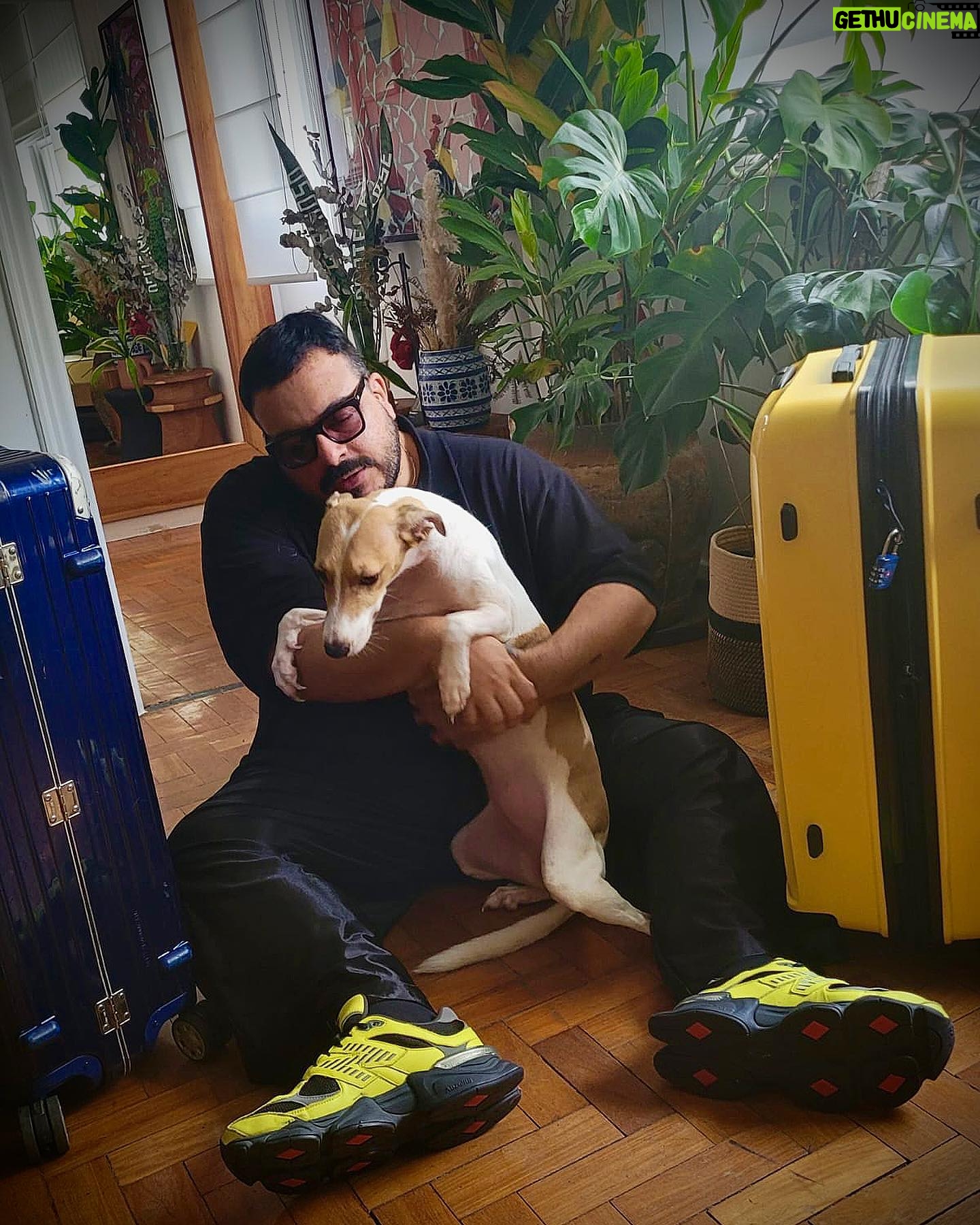 Luís Lobianco - 2.1K Likes - O melhor lugar do mundo é aqui e agora. "There's No Place Like Home"
✈️ 🇧🇷