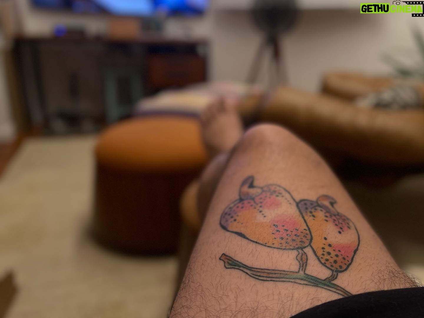 Luís Lobianco - 2.5K Likes - toma carrossel! 🍦
