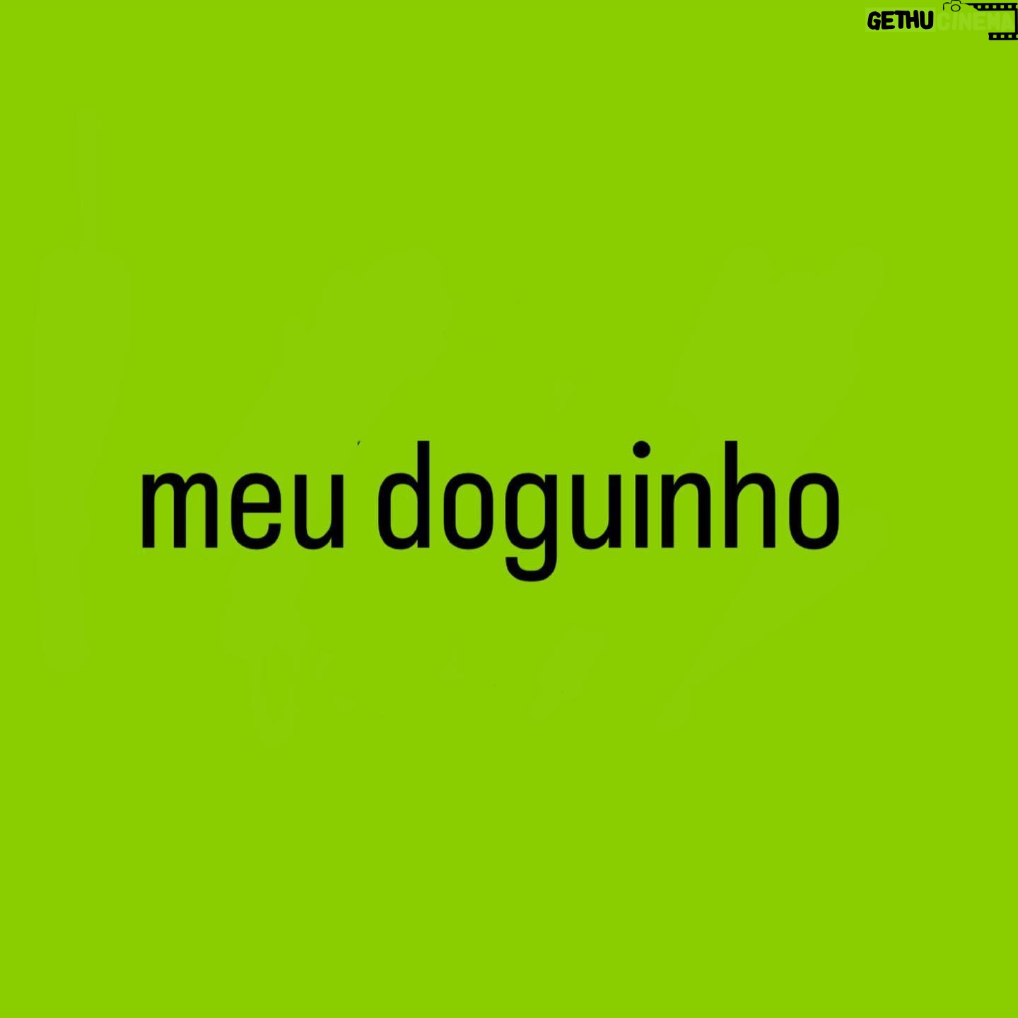 Luís Lobianco - 4K Likes - escolha o seu brat!