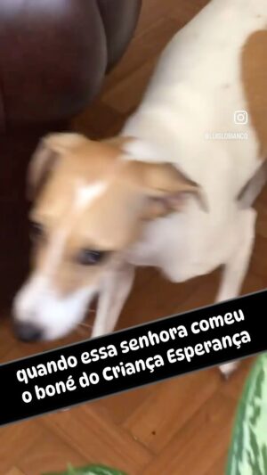 Luís Lobianco Instagram - Senhora.... senhora.........