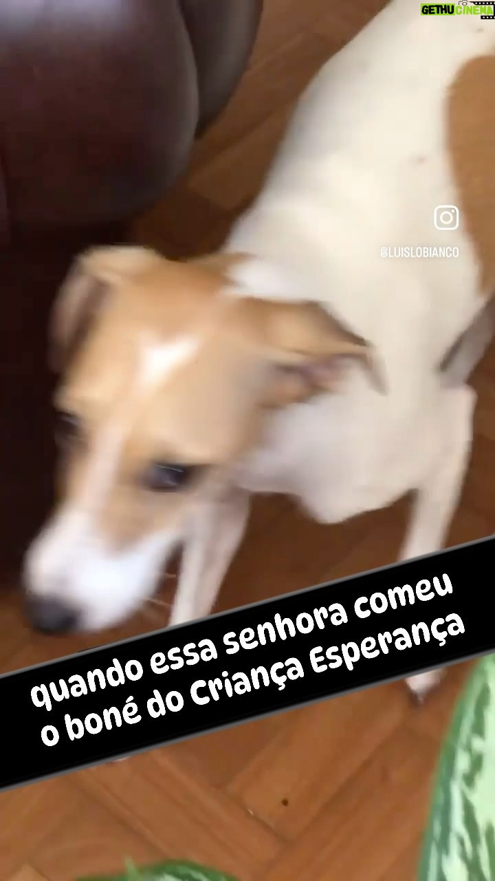 Luís Lobianco - 2K Likes - Senhora.... senhora.........